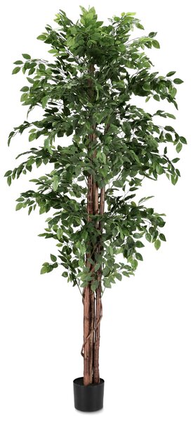 BIZZOTTO ИЗКУСТВЕНО РАСТЕНИЕ FICUS 210CM ЗЕЛЕНО