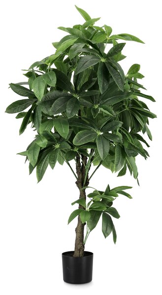 BIZZOTTO ИЗКУСТВЕНО РАСТЕНИЕ PACHIRA AQUATICA 160