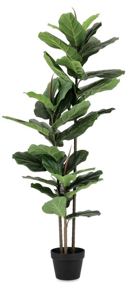 BIZZOTTO ИЗКУСТВЕНО РАСТЕНИЕ FICUS LYRATA 145CM