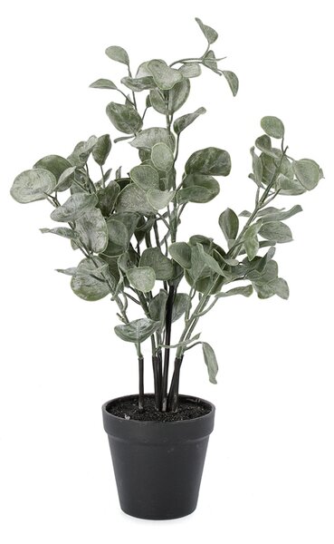 BIZZOTTO ИЗКУСТВЕНО РАСТЕНИЕ В САКСИЯ EUCALYPTUS