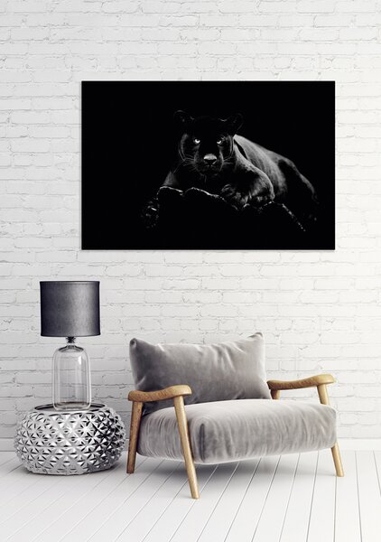 IMAGELAND СТЪКЛЕНА КАРТИНА PANTHER
