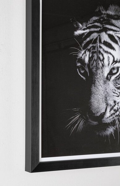 BIZZOTTO КАРТИНА С РАМКА EVIDENCE 105 43X3,2X43