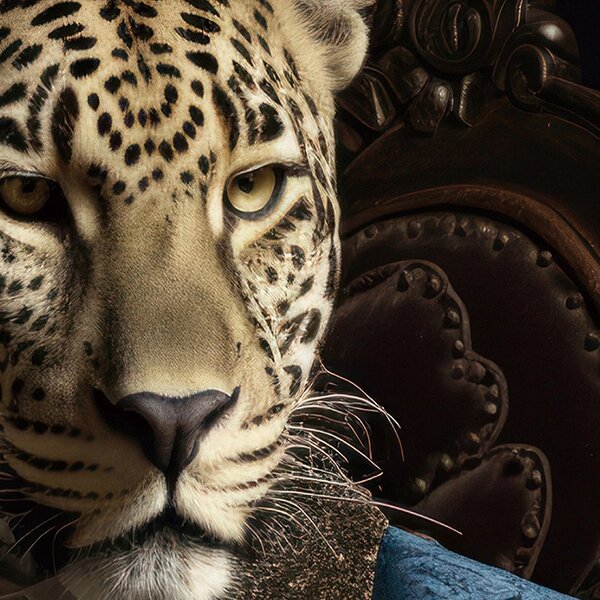 IMAGELAND СТЪКЛЕНА КАРТИНА LEO DANDY