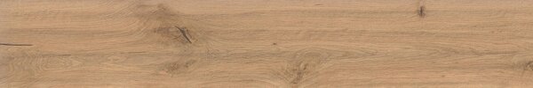 AC гранитогрес Log Icon Oak 20x120x9