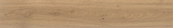 AC гранитогрес Log Icon Oak 20x120x9
