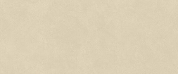 AC гранитогрес Natural Pro Oat 50x120x8.5