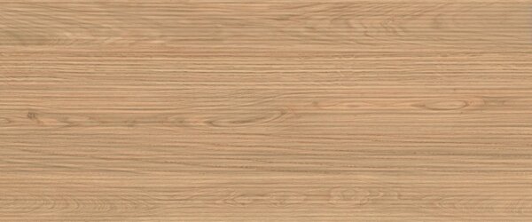 AC гранитогрес Log 3D Icon Oak 50x120x8.5