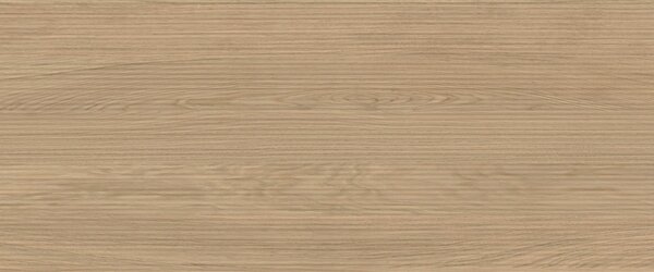 AC гранитогрес Log 3D Moon Oak 50x120x8.5