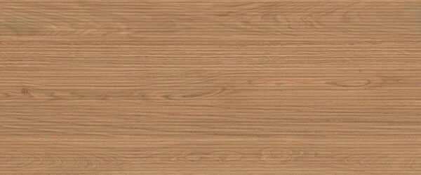 AC гранитогрес Log 3D Deep Oak 50x120x8.5