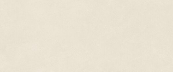 AC гранитогрес Natural Pro Salt 50x120x8.5