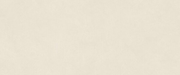 AC гранитогрес Natural Pro Salt 50x120x8.5