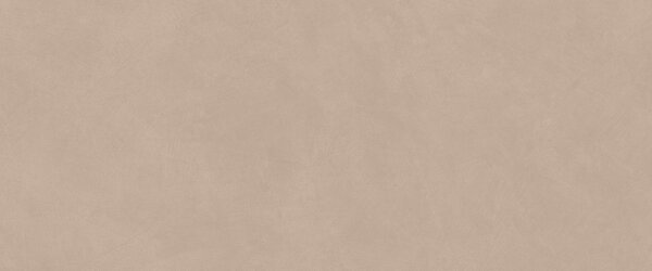 AC гранитогрес Natural Pro Skin 50x120x8.5