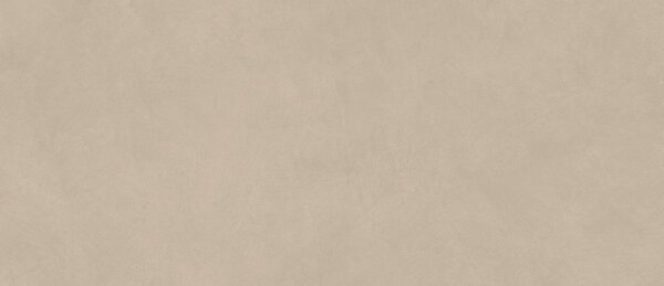 AC гранитогрес Boost Natural Ash 50x120x8.5