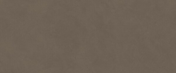 AC гранитогрес Natural Pro Coff? 50x120x8.5