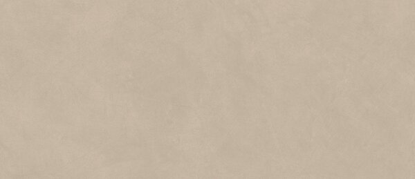 AC гранитогрес Boost Natural Ash 50x120x8.5