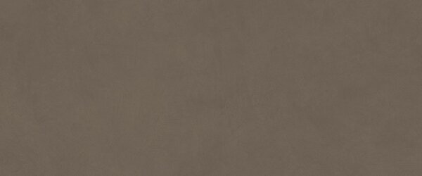 AC гранитогрес Natural Pro Coff? 50x120x8.5