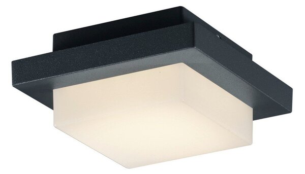 LED стенно външно осветително тяло (височина 14 cm) Hondo – Trio