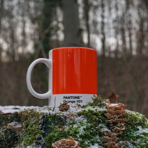 Оранжева порцеланова чаша 375 ml Orange 021 – Pantone
