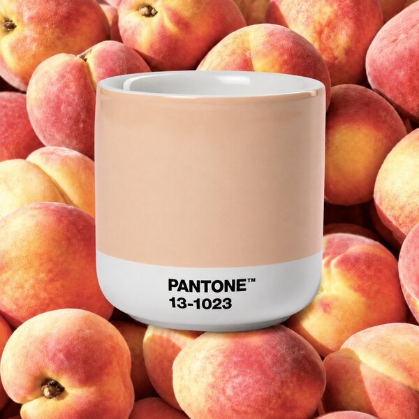 Оранжева порцеланова чаша за капучино 175 ml Peach Fuzz 13-1023 – Pantone