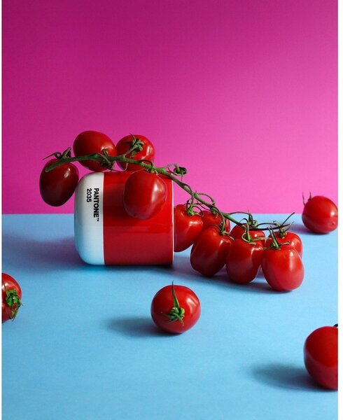 Червена порцеланова чаша за капучино 175 ml Red 2035 – Pantone