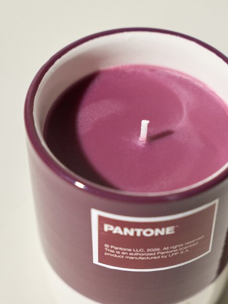 Sinsay - Свещ Pantone - бледомораво