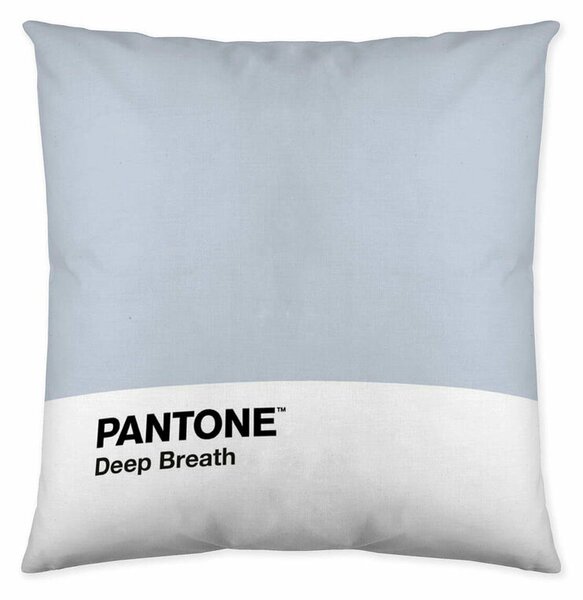 Калъфка за възглавница Deep Breath Pantone (50 x 50 cm)