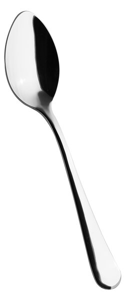 SALVINELLI ЛЪЖИЦА ЗА СЕРВИРАНЕ CHARME 250MM