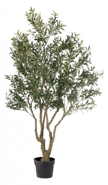 OLIVE PLANT W-VASE H210