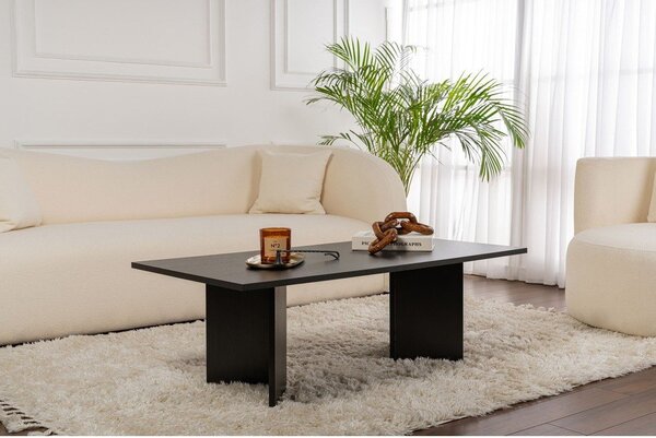 Черна матова масичка за кафе 60x119 cm Sabin – Kalune Design