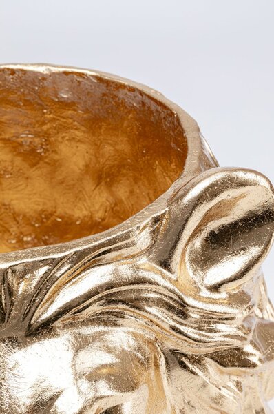 Саксия Lion Gold
