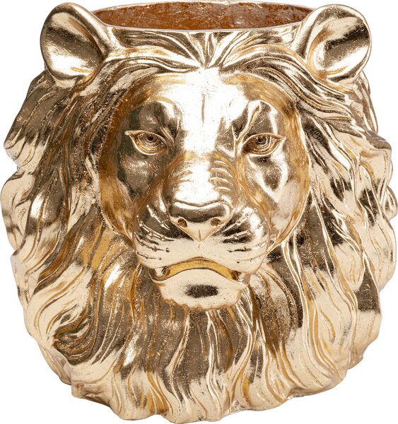 Саксия Lion Gold