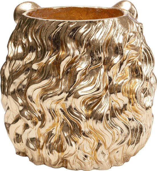 Саксия Lion Gold