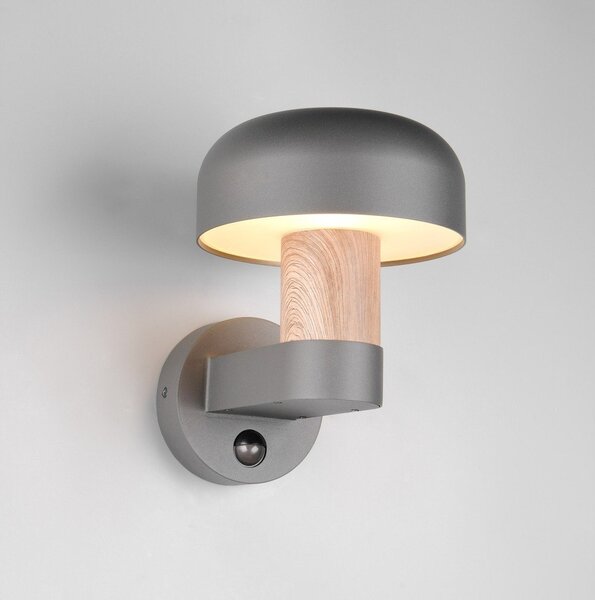 Стенно външно осветително тяло (височина 24,5 cm) Fraser – Trio