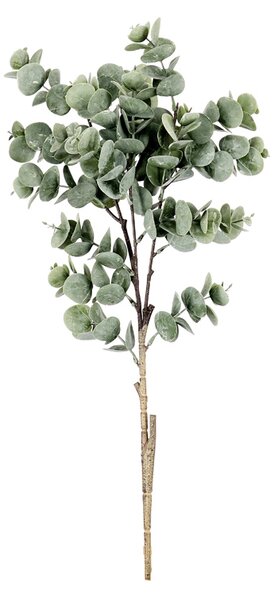 BIZZOTTO ИЗКУСТВЕНА КЛОНКА AYUMI EUCALYPTUS 60CM