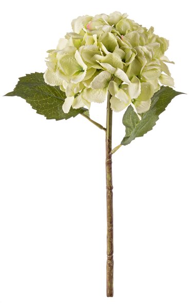 BIZZOTTO ИЗКУСТВЕНА КЛОНКА HYDRANGEA 52CM ЗЕЛЕНА