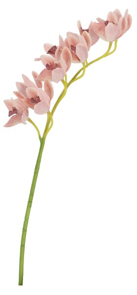 BIZZOTTO ИЗКУСТВЕНА КЛОНКА CYMBIDIUM DYAN 82CM ОР