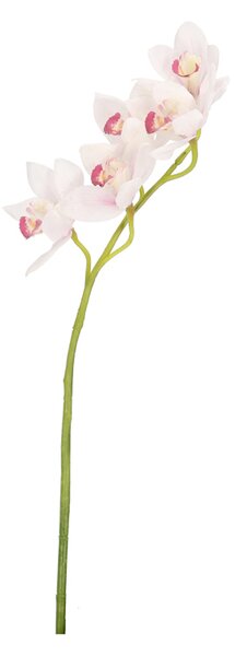BIZZOTTO ИЗКУСТВЕНА КЛОНКА CYMBIDIUM DYAN 66CM БЯЛ