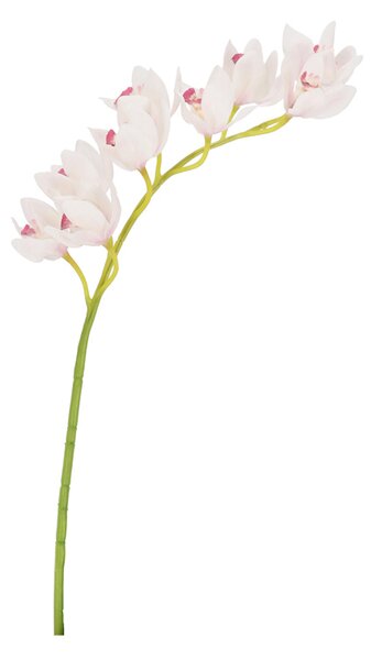 BIZZOTTO ИЗКУСТВЕНА КЛОНКА CYMBIDIUM DYAN 82CM БЯЛ