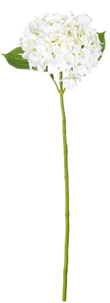 BIZZOTTO ИЗКУСТВЕНА КЛОНКА HYDRANGEA 67CM КРЕМ