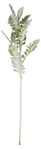 BIZZOTTO ИЗКУСТВЕНА КЛОНКА SENECIO CINERARIA
