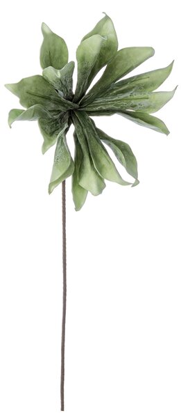 BIZZOTTO ИЗКУСТВЕНА КЛОНКА WATER HYACINTH ЗЕЛЕНА