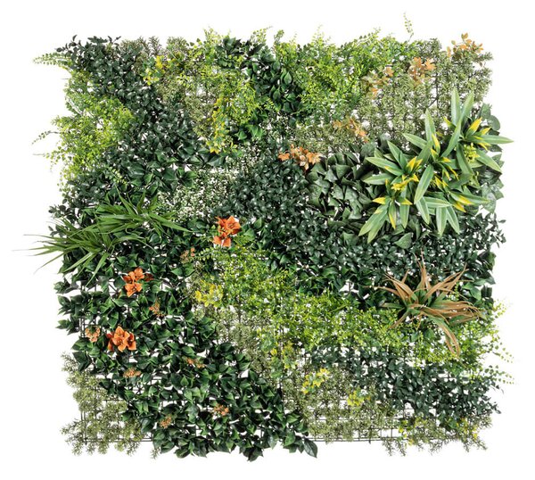 BIZZOTTO ДЕКОРАТИВНА ЗЕЛЕНА СТЕНА ORANGE 100X100