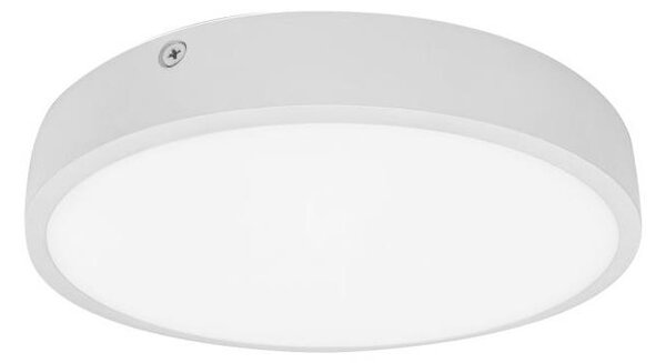 Palnas 61003580 - LED Лампа за баня EGON LED/30W/230V IP44 3000K