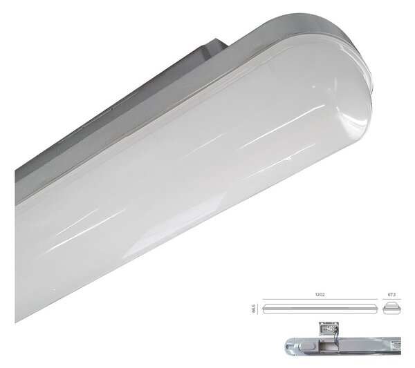 Emithor 31602 - LED Техническа лампа ELMINA LED/36W/230V IP65