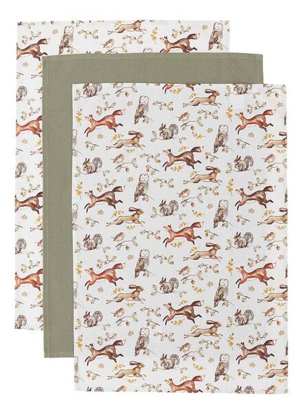 Памучни кърпи за съдове в комплект от 3 бр. 45x65 cm Forest Fable – Cooksmart ®