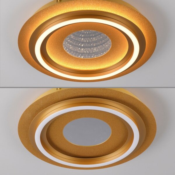 JUST LIGHT. 15089-60 - LED плафон CICHIO LED/36W/230V златен