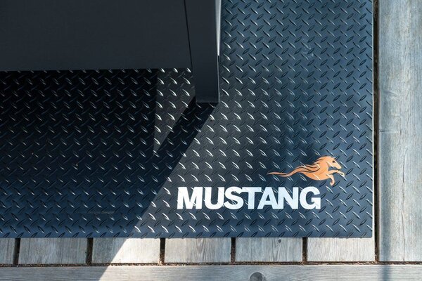 MUSTANG Защитна подложка / килим за BBQ - 100х150см