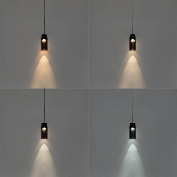Модерен черен висулка за релсова система 1-фазен с LED - Magnetic Vance
