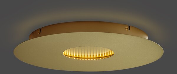 Модерна таванна лампа златна 40 см вкл. LED 3-степенно димиране - Morning