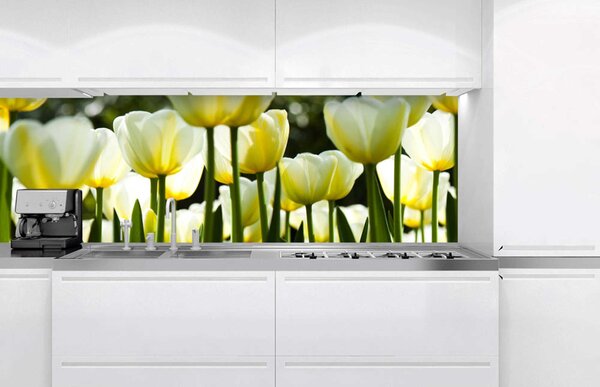 Фототапет за кухня - бели лалета 180 x 60 см
